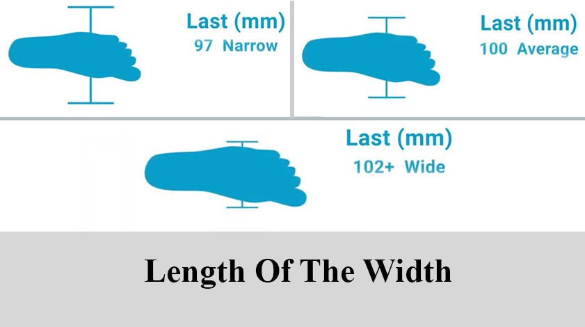 length of the width length of the width