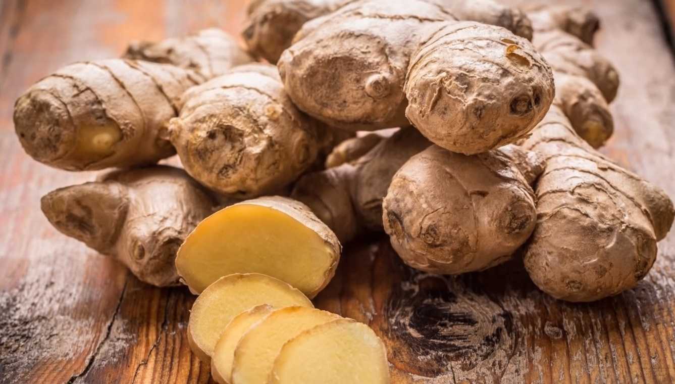 Ginger Ginger