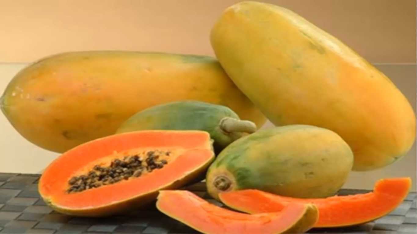 Papaya Papaya