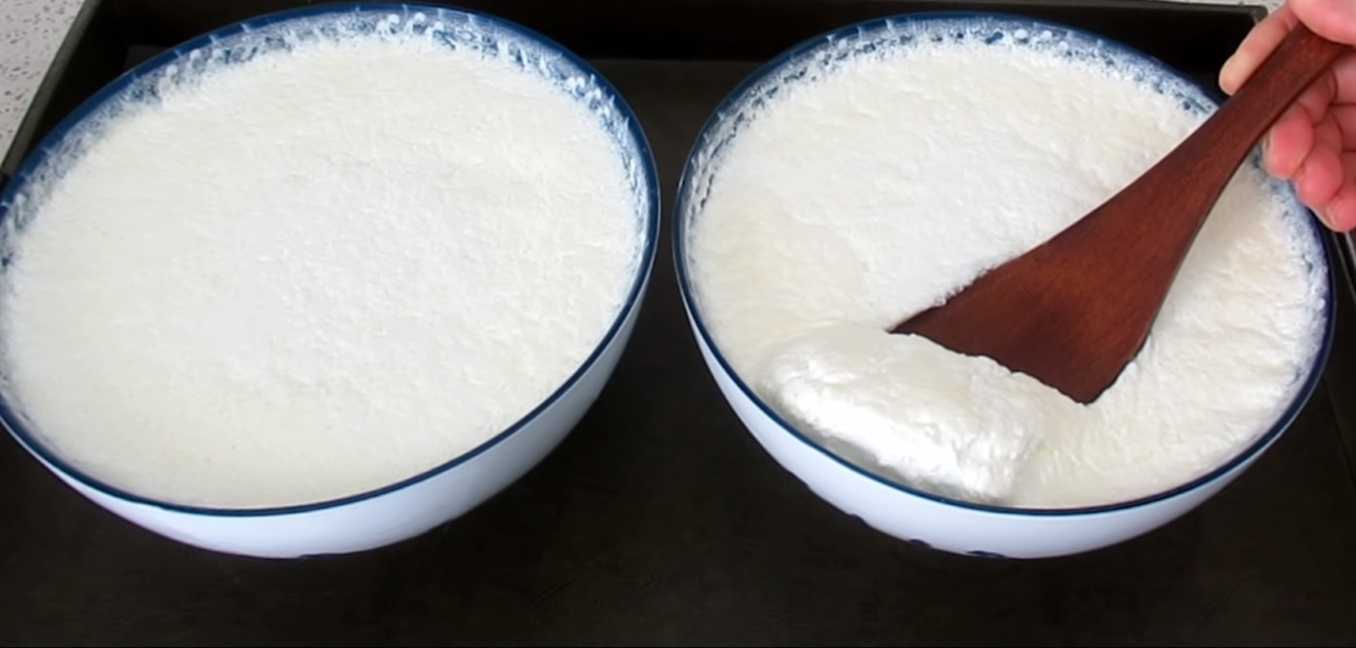 Yogurt Yogurt